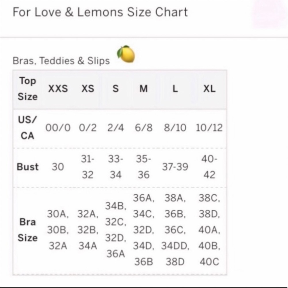 For Love & Lemons V Day Floral Embroidery Bra - Picture 11 of 12